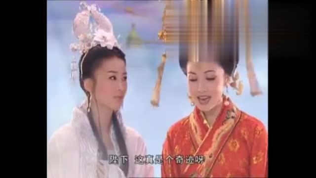 七公主在线观看,在线观看，揭开神秘家族的奇幻传奇