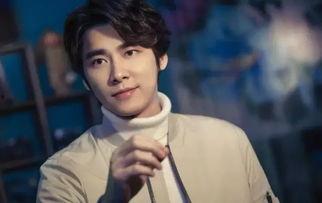 罗芳爆料李易峰视频,真相与争议并存